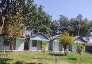 blowsom-resort-home-m2